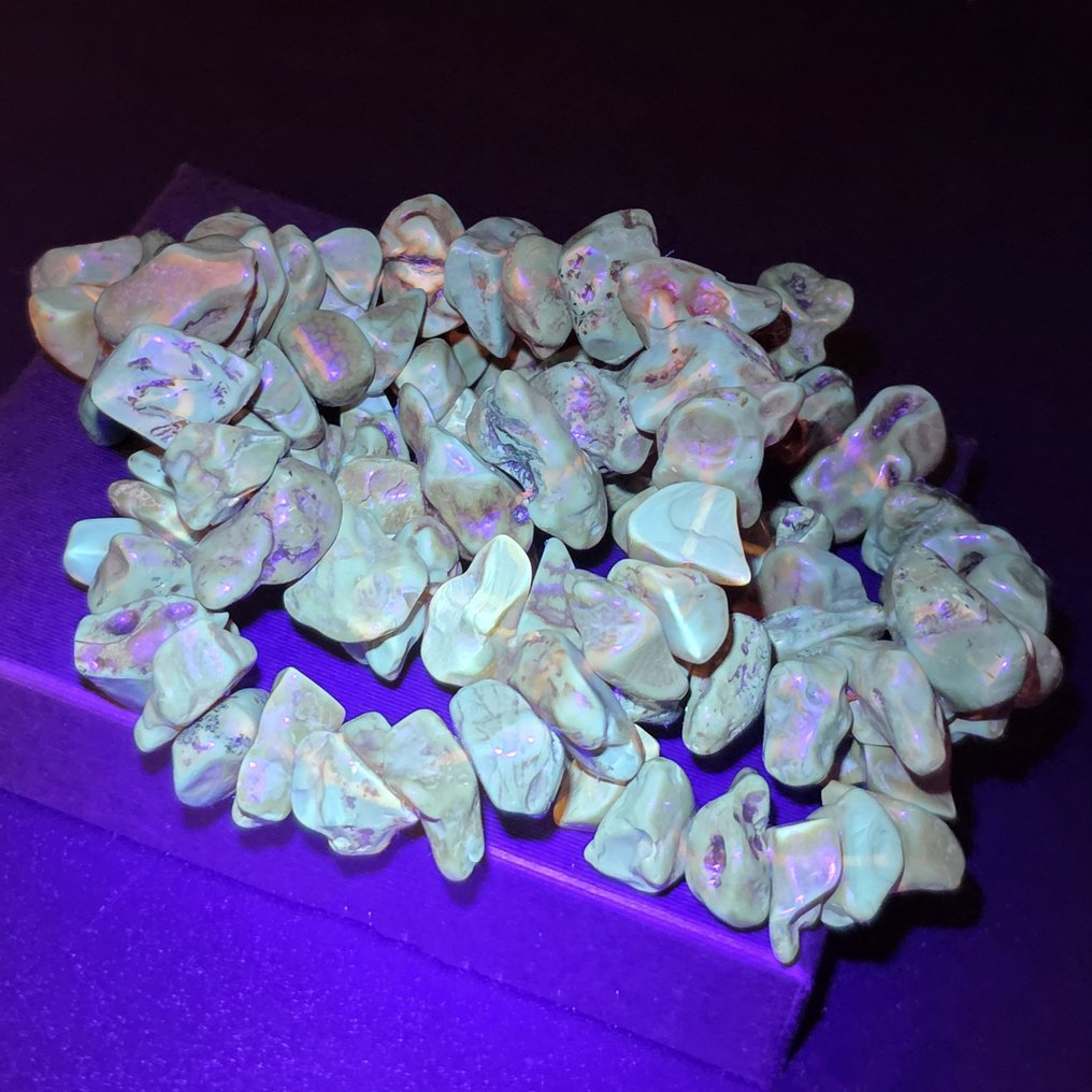 Colier autentic de 60g cu chihlimbar baltic – Mărgele organice în nuanțe adânci de fosil - Chihlimbar (Fără preț de rezervă) #3.2