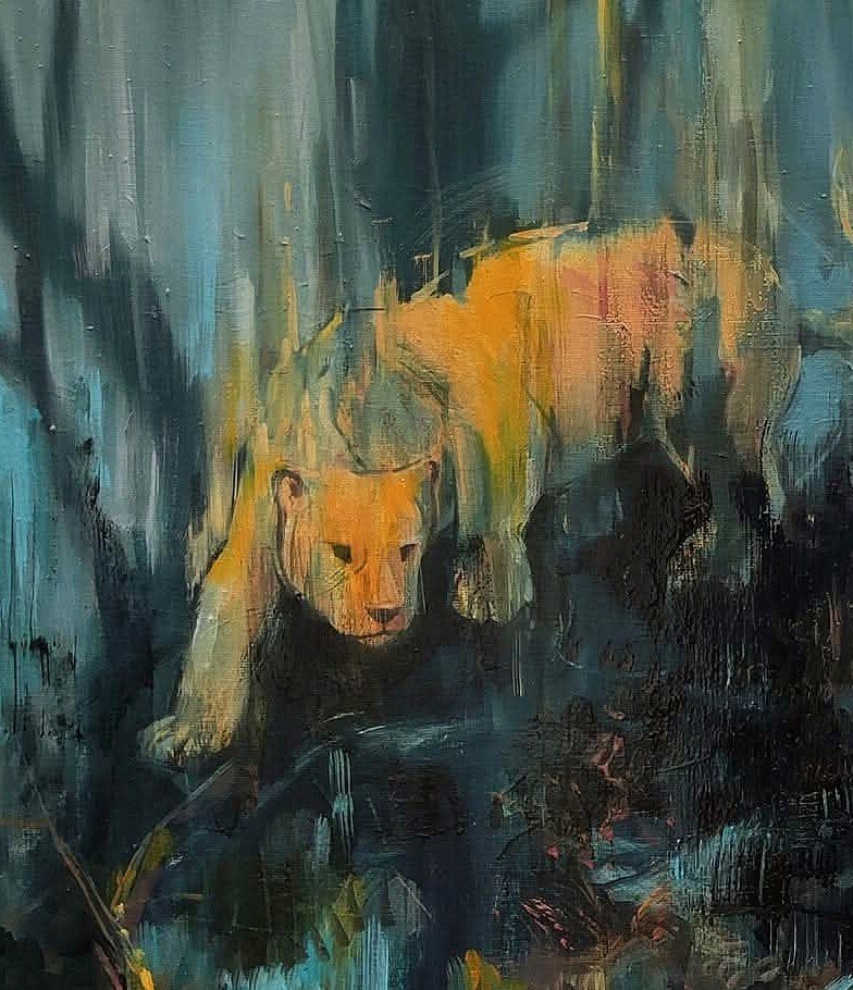 Popovici Constantin - Watching XL #4.3