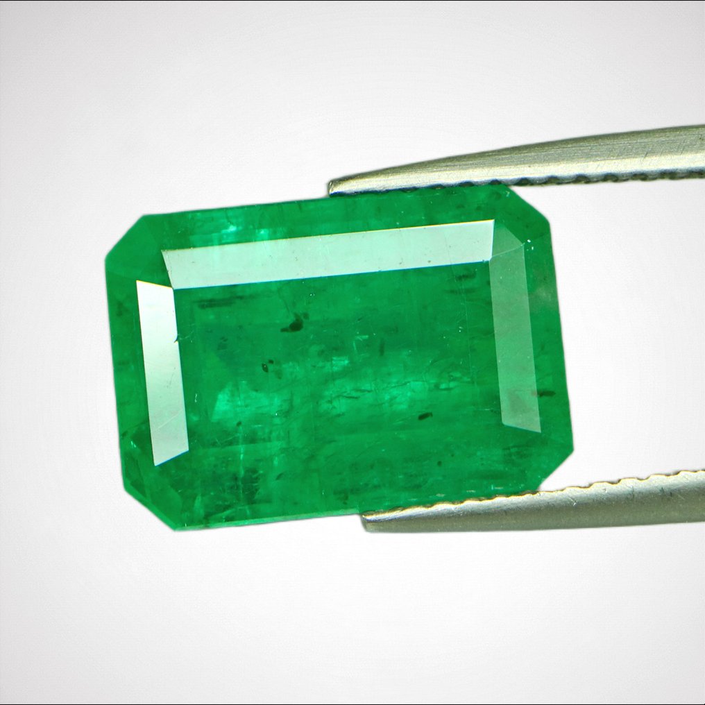 1 pcs 绿色 祖母绿 - 7.01 ct - 美国吉尔德宝石实验室 - *VIVID-ZAMBIA-KAFUBU* #3.2