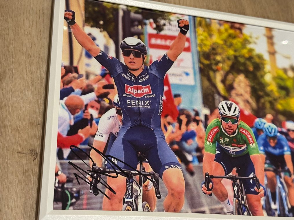 Alpecin-Deceuninck - 環法單車賽 - Jasper Philipsen - 照片, 框架  #2.1