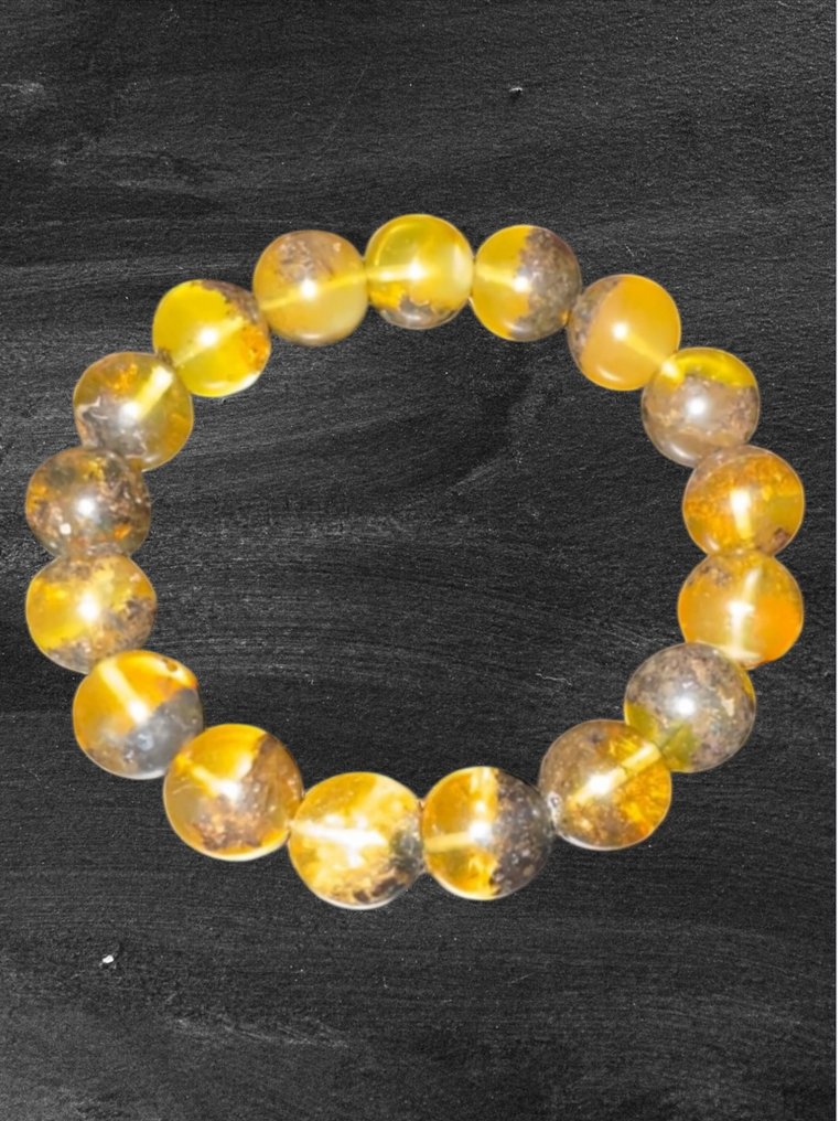 波罗的海琥珀 - 琥珀  (没有保留价) #3.2