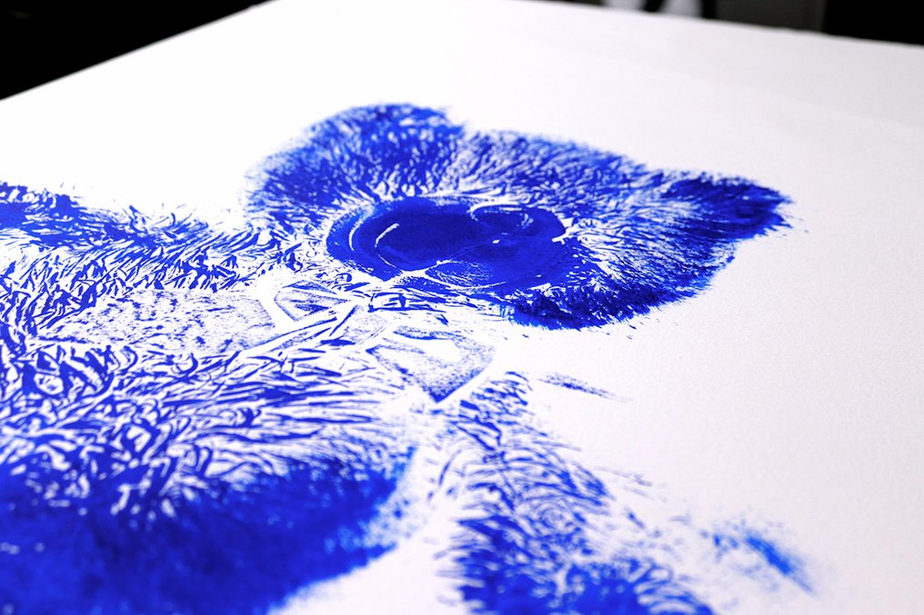 Michiel Folkers (1982) - Bear 098-6 #3.2