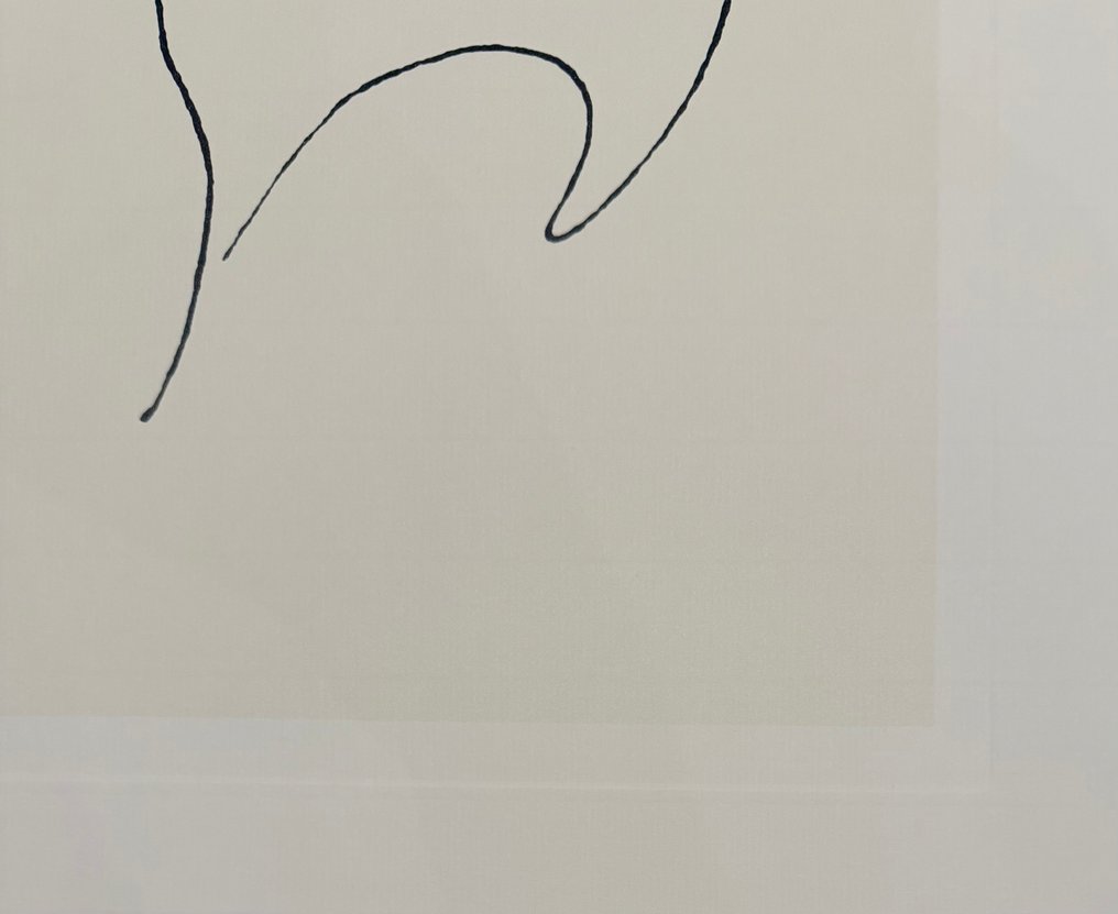 Pablo Picasso (after) - after (1881-1973),  COQ-DETAIL”, 1907,  copyright Picasso Administration-SABAM Belgium 2010 #3.2