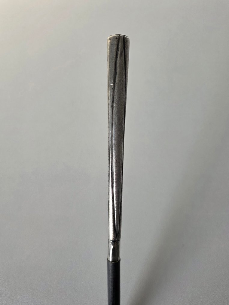 Zilver 925, Walking stick - Silver, Wood, Multiple silver hallmarks circa 1890/1900 #1.0