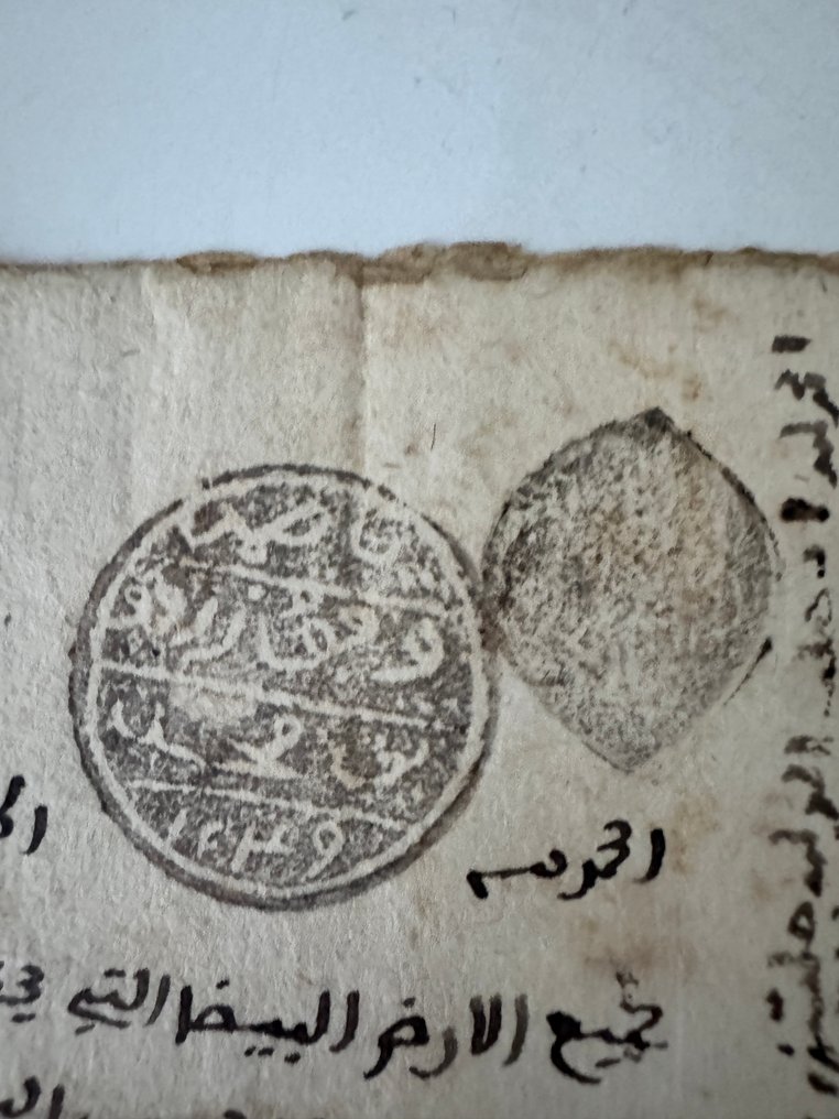 Acte Administratif - « Acte administratif ottoman manuscrit avec sceau nominatif – XVIIIᵉ s. » - 1780 #3.2