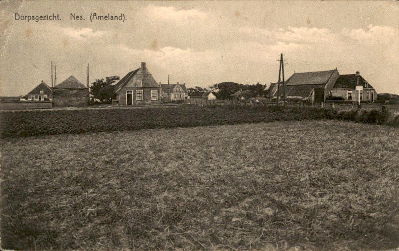 荷兰 - 瓦登海群岛 - Ameland - 明信片 (126) - 1900-1960 #2.1