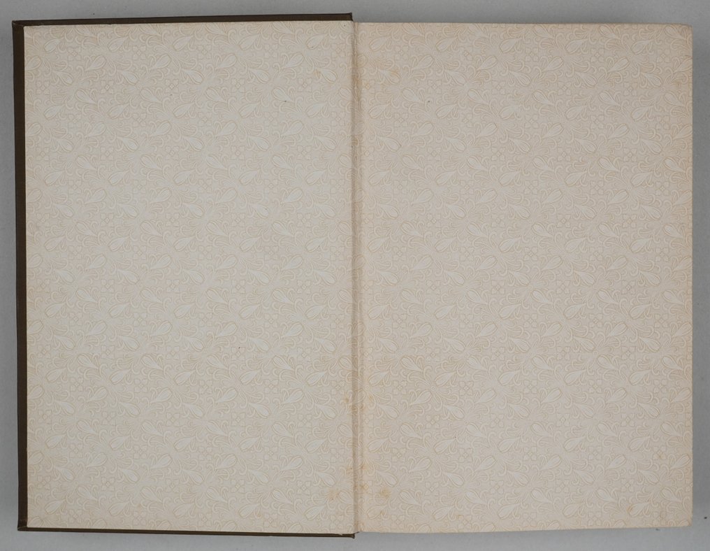 Dr. Friedrich Steger - Edward Whympers Berg- und Gletscherfahrten - 1892 #2.1