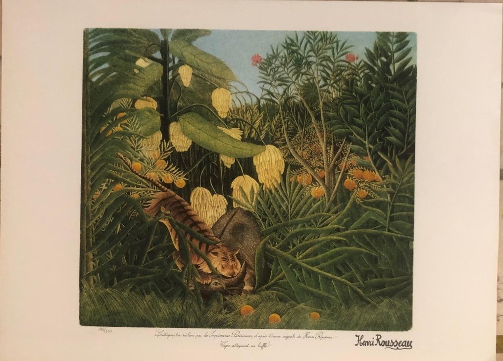 Henri Rousseau (1844-1910) - (d'après) - Tigre attaquant un buffle #2.1