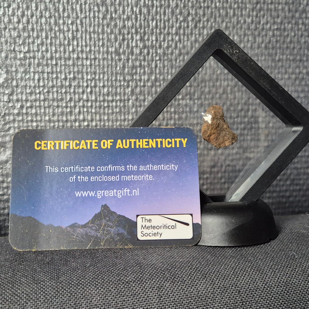 Al Haggounia 001 meteorit Smuk display - Højde: 24 mm - Bredde: 21 mm - 4.46 g - (1) #1.0