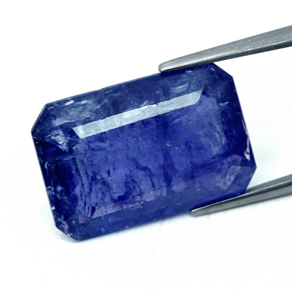 没有保留价 - 1 pcs 蓝色, 紫罗兰色 坦桑石 - 20.33 ct - 国际宝石研究院(IGI) #1.0