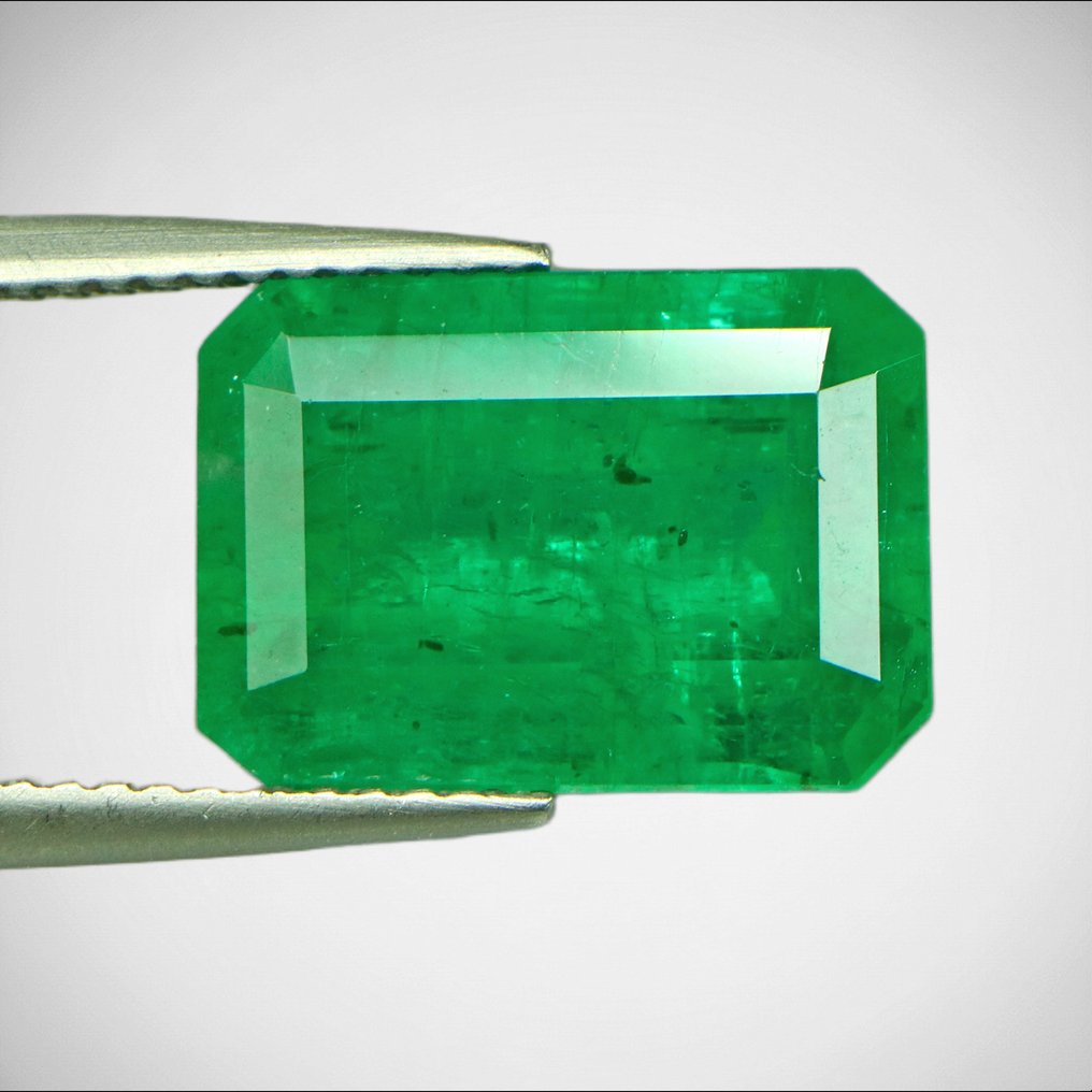 1 pcs 绿色 祖母绿 - 7.01 ct - 美国吉尔德宝石实验室 - *VIVID-ZAMBIA-KAFUBU* #1.0