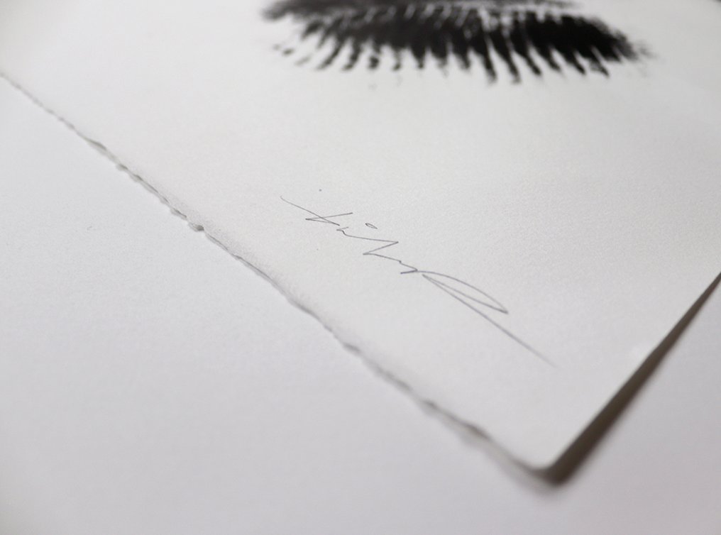 Michiel Folkers (1982) - Bear 095-4 #3.2