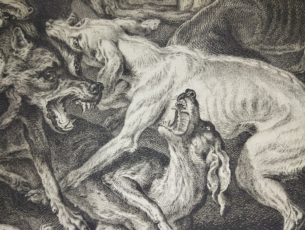 François Joullain (1697 - 1778) - Cani che si avventano su un lupo #3.2