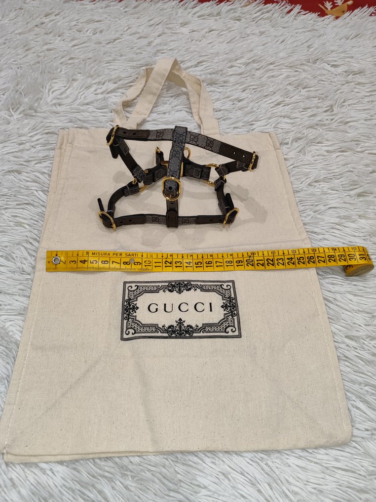 Gucci - Pet accessory #1.0