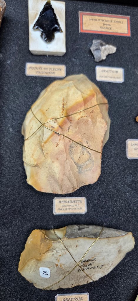 Neolithic Neolithiques tools from France  and bison fossilized bone incide wood glass farm - 60 cm #2.1