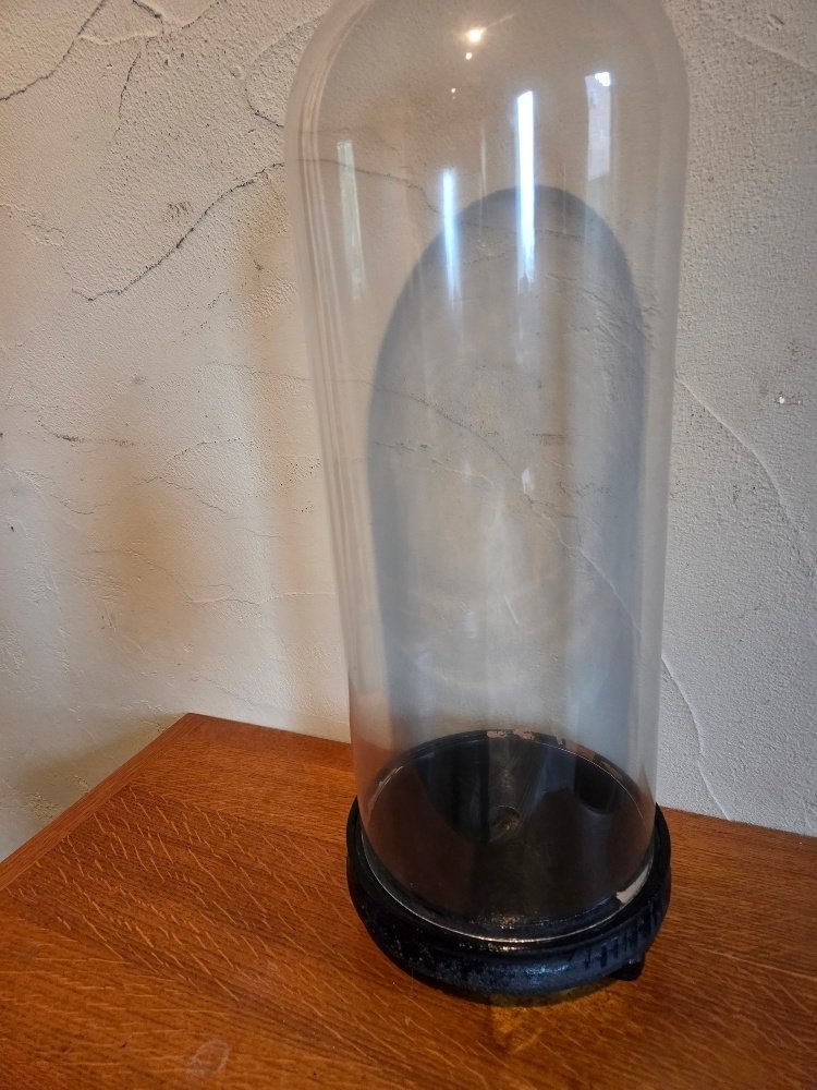 Globe - stolp - antiek - 1901-1920 - Antique round bell jar, original wooden base, dimensions: height without base: +/- 46 cm, diameter: #1.0