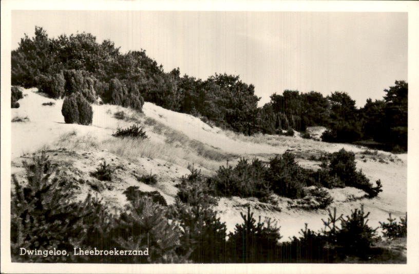 Pays-Bas - Dwingeloo - Carte postale (129) - 1900-1960 #4.3