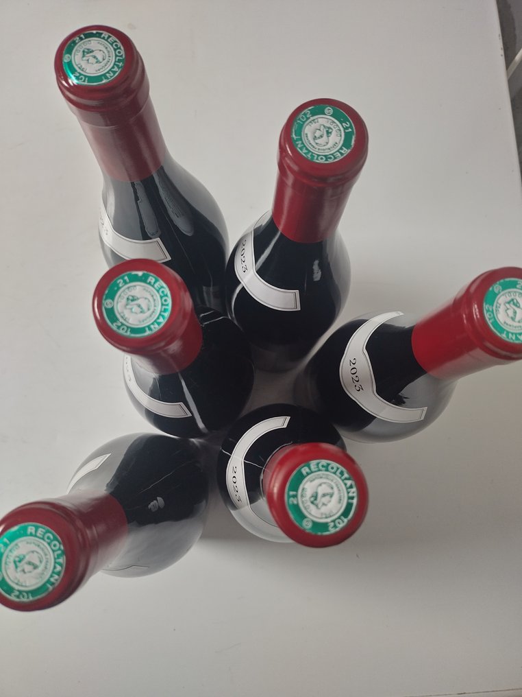 2023 Domaine Confuron Gindre - 夜-聖喬治 - 6 瓶 (0.75L) #3.2