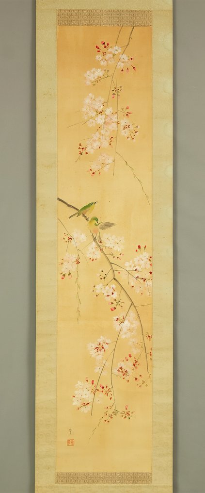 Cherry Blossoms and Two Japanese White-Eye with Original Box (Tomobako) - with signature and 'Kaoru' 薫 seal 'Kaoru Za in' 薰坐印 - Japan (No reserve price) #2.1