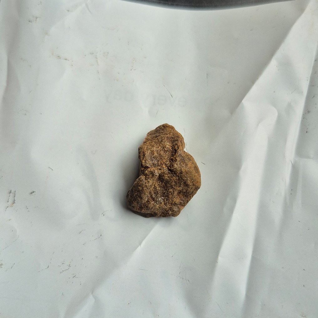 Al Haggounia 001 meteorit Smuk display - Højde: 24 mm - Bredde: 21 mm - 4.46 g - (1) #4.3