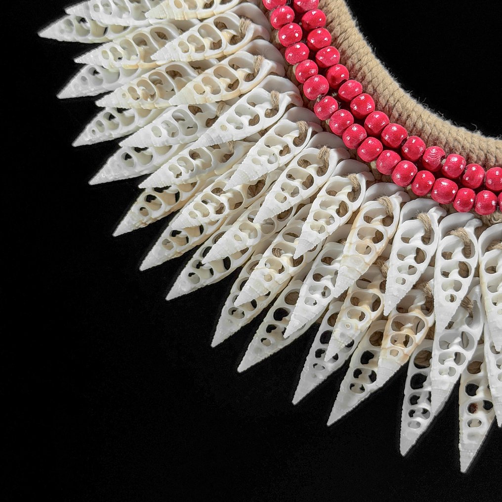 装饰饰品 - NO RESERVE PRICE - SN7 - Decorative shell necklace on a custom stand - 巴布亚新几内亚 #4.3
