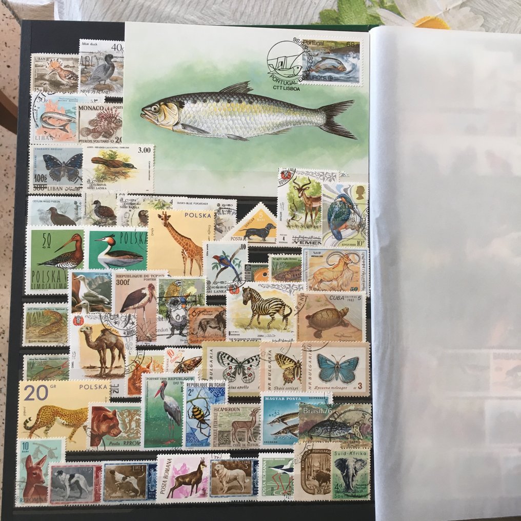 世界  - 来自世界各地的全新和已使用的邮票收藏，包括主题为动物的FDC（首日封）和邮票。 #2.1