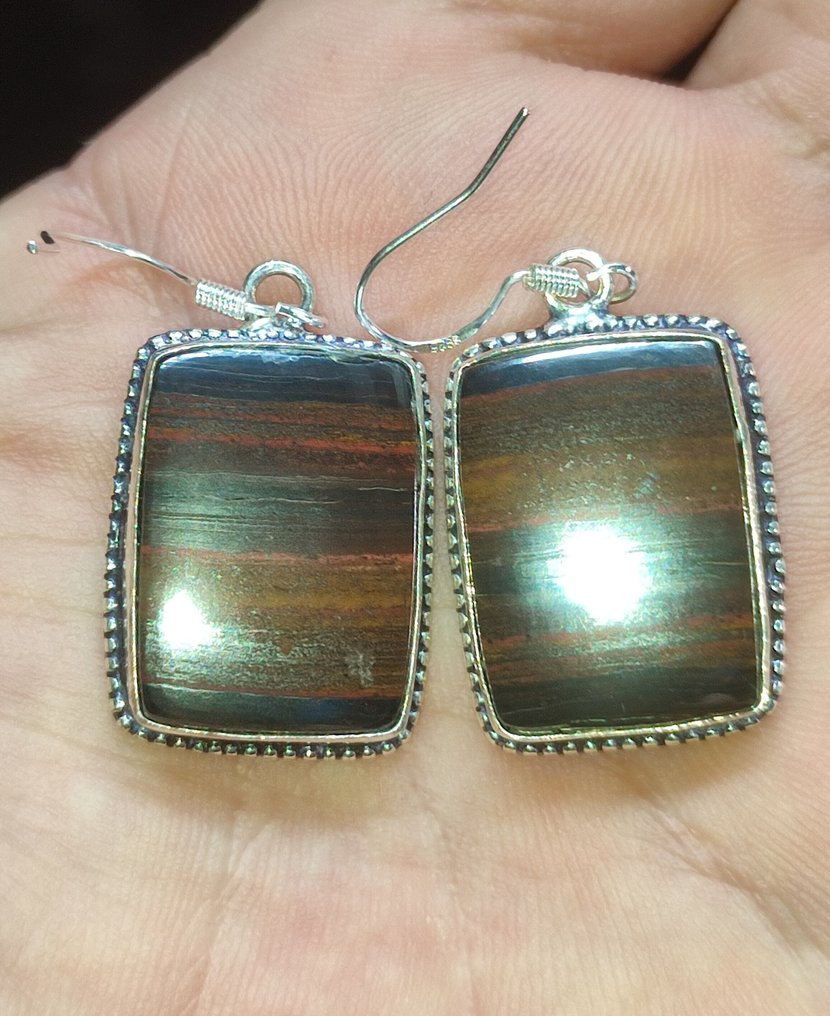 Όμορφα σκουλαρίκια από σίδηρο με μάτι τίγρης πρώτης ποιότητας, ασήμι 925, δωρεάν αποστολή. - Σκουλαρίκια #4.3