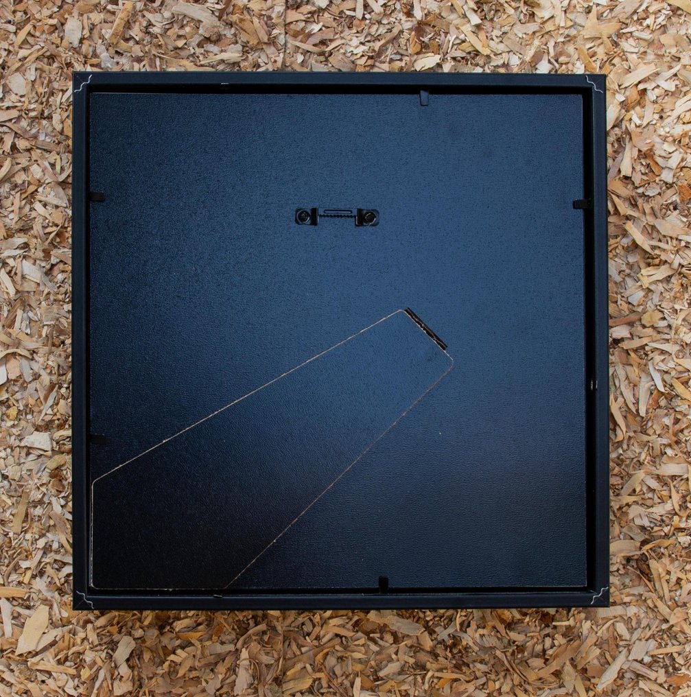 Εξωραϊσμένο Vesper Bat - σε κάδρο Βάση ταρίχευσης ολόκληρου σώματος - Cynopterus minutus - 27 cm - 27 cm - 6 cm - Είδη που δεν ανήκουν στο CITES #4.3