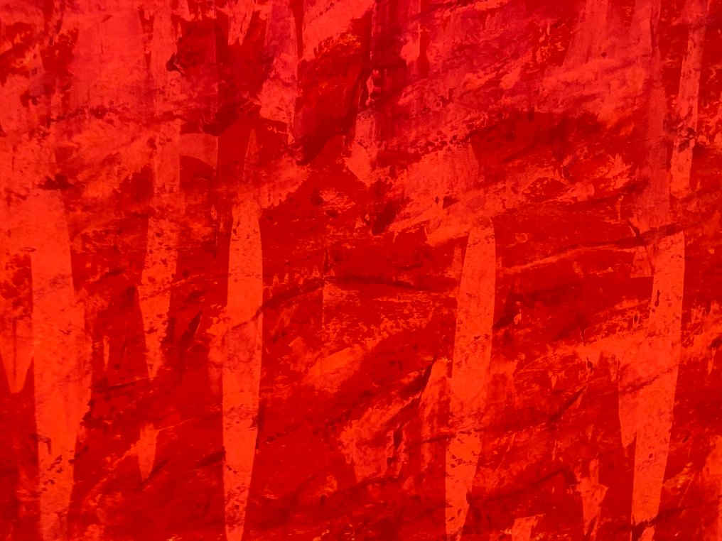 Reinhard Sommer - Red 911 XXL #4.3