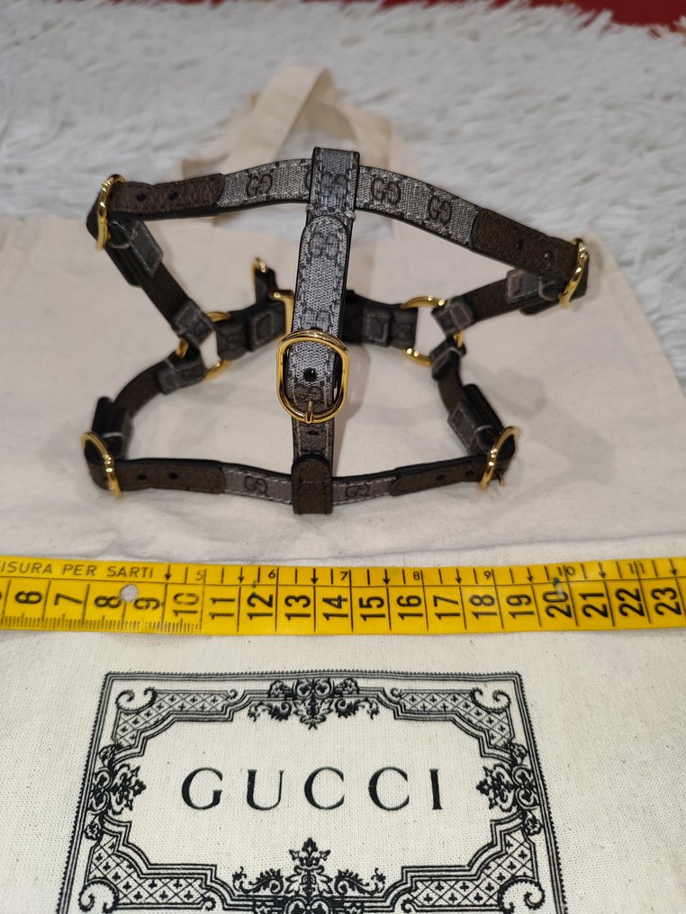 Gucci - Pet accessory #1.0