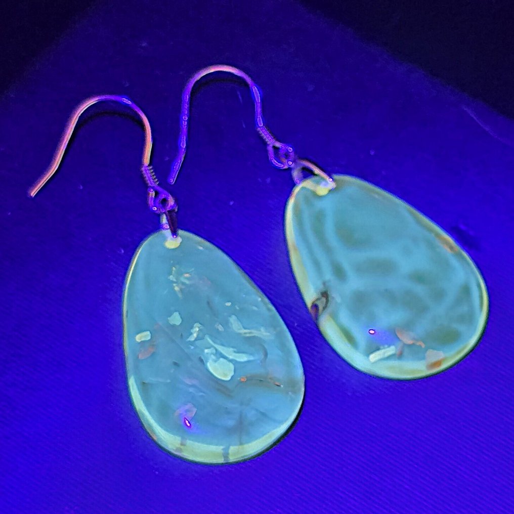 Elegant Baltic Amber Drop Earrings – Cognac Glow with Organic Fossil Inclusions - Amber (No reserve price) #3.2