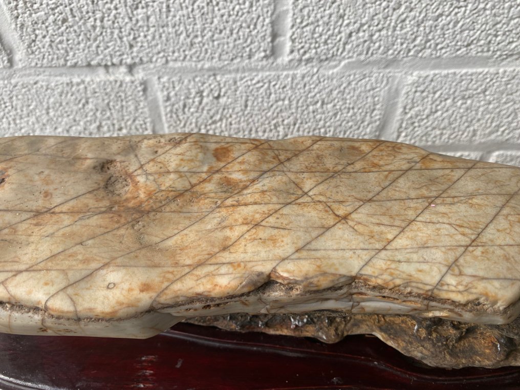 Suiseki - 昭和年代(1926-1989)  (沒有保留價) #3.2