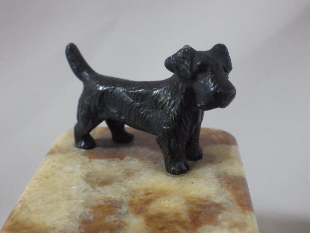 Matchbox holder - Bronze of Vienna - Pyrogène - Fox Terrier #4.3