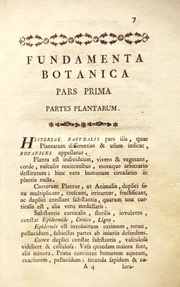 Scopoli Giovanni Antonio. - Fundamenta Botanica. - 1783 #2.1
