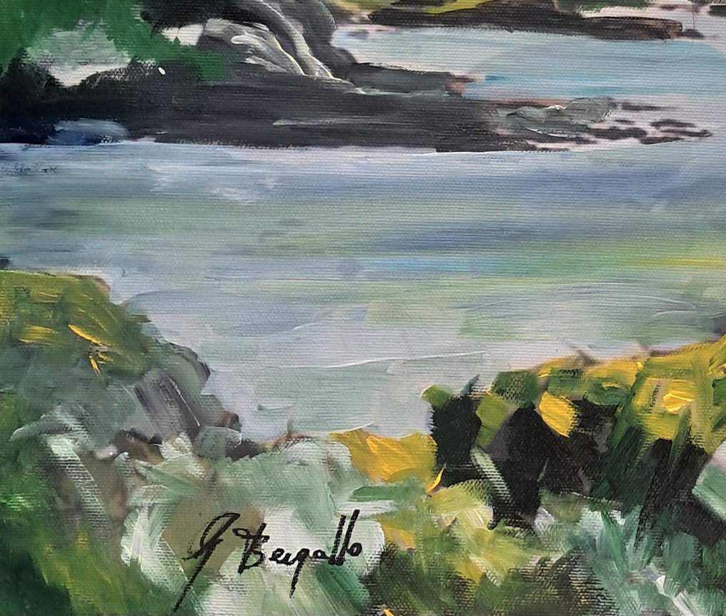 Giorgio Bergallo - BAIAGRIGIA #2.1