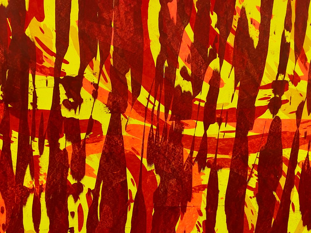 Reinhard Sommer - Color 014  XXL #4.3