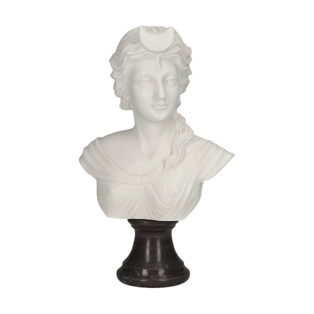 Escultura, Classical Bust - 30 cm - Mármore #1.0