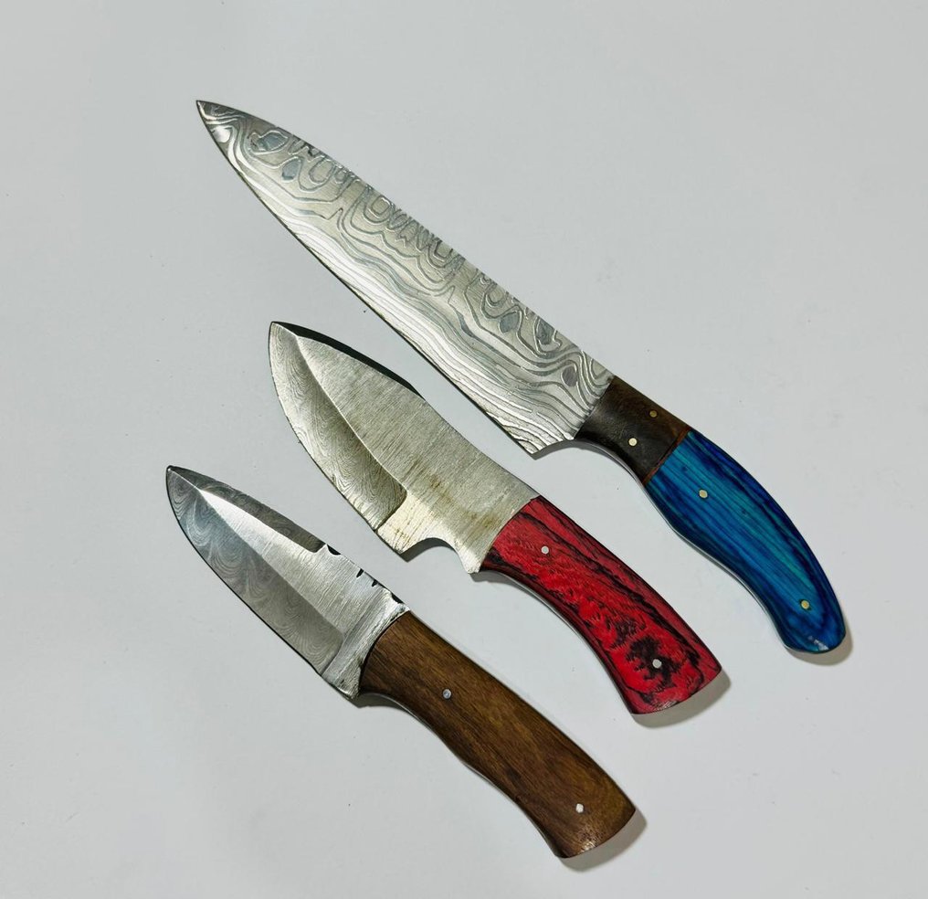 Μαχαίρι κουζίνας - Μαχαίρι τραπεζιού κουζίνας (0102) - Χειριστήριο από εξωτικά ξύλα των ΗΠΑ και διπλωμένο ατσάλι. - Ηνωμένες Πολιτείες - Μαχαίρι τραπεζαρίας #1.0