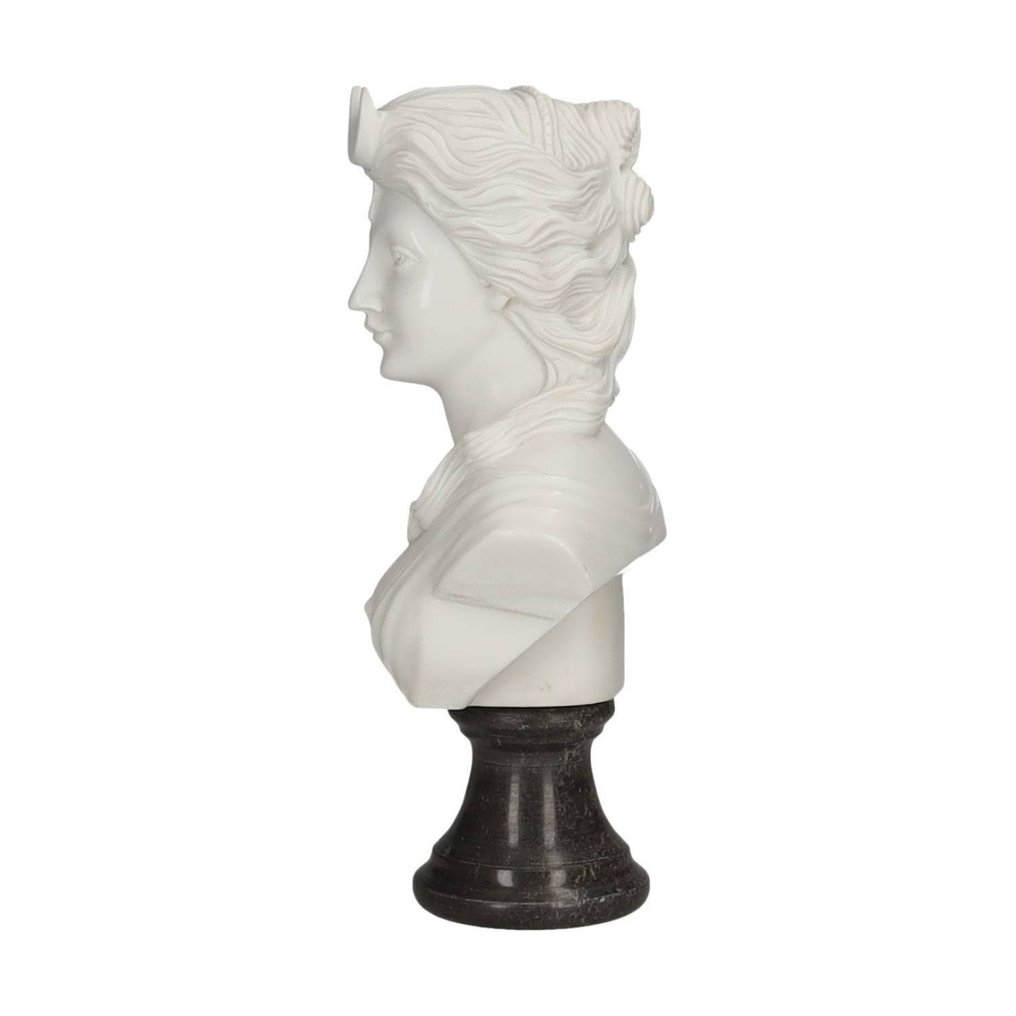 Escultura, Classical Bust - 30 cm - Mármore #3.2