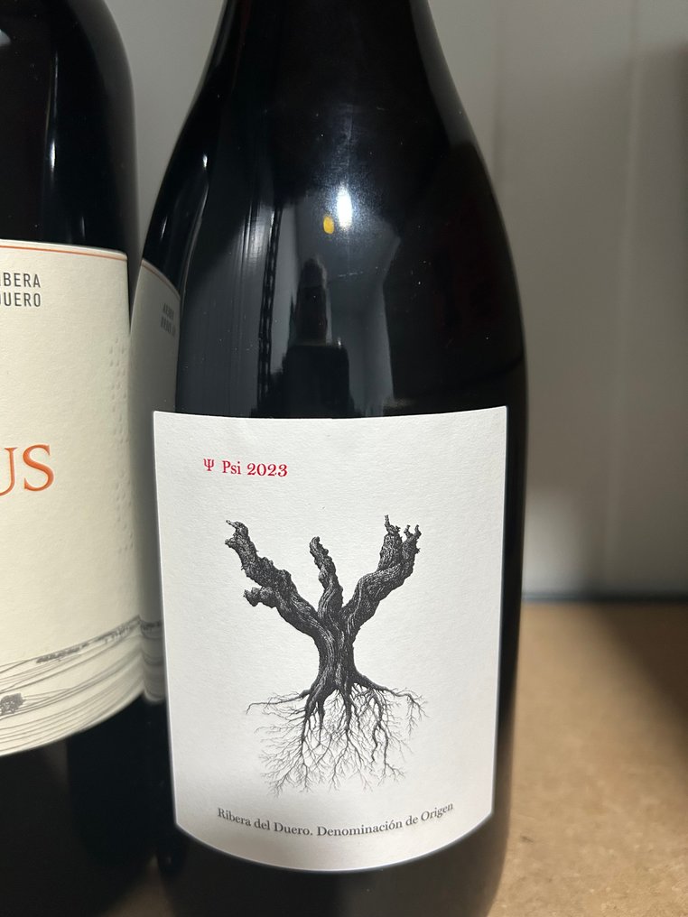 2021 Emilio Moro, Malleolus & 2023 Dominio de Pingus, Psi x2 - Ribera del Duero - 3 Bottles (0.75L) #3.2