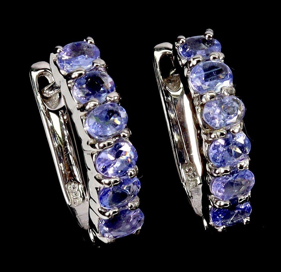 χωρίς τιμή ασφαλείας - Σκουλαρίκια Ασημί Τανζανίτης #1.0