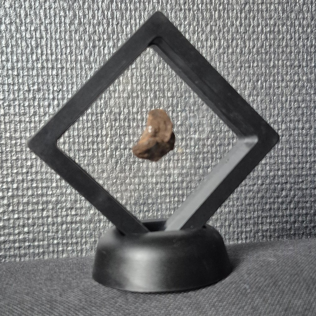 Al Haggounia 001 meteorit Smuk display - Højde: 24 mm - Bredde: 21 mm - 4.46 g - (1) #2.1