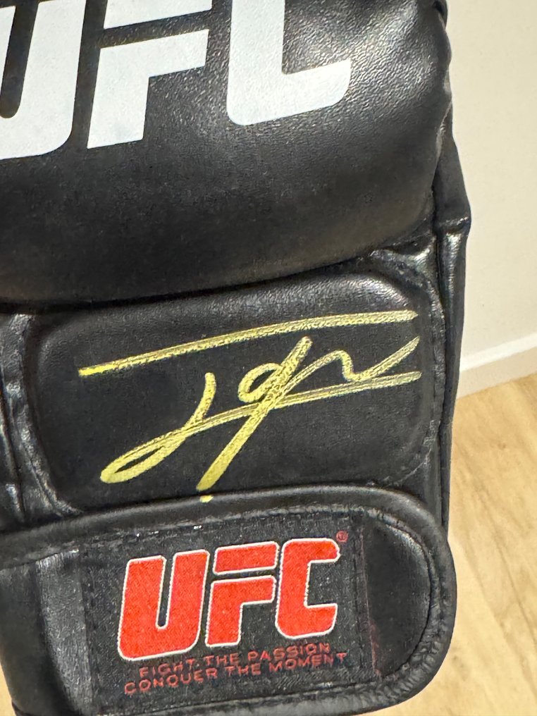 Ilia Topuria - UFC手套，轻量级世界冠军  #1.0