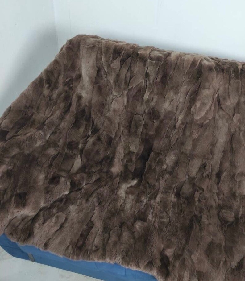 καφέ μοχά - τρίχωμα - Κουβέρτα  - 220 cm - 110 cm - Ρεξ Τσιντσίλα #4.3