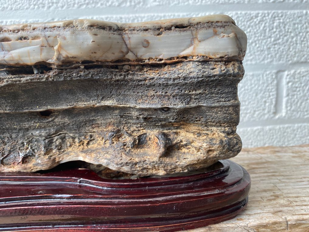 Suiseki - 昭和年代(1926-1989)  (沒有保留價) #2.1