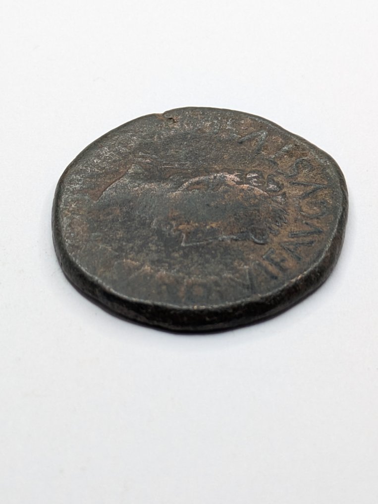 Spagna romana, Celsa. Augusto (27 a.C.-14 d.C.). As 27 a.C. - 14 d.C. - Contramarca “P"  (Senza prezzo di riserva) #3.2