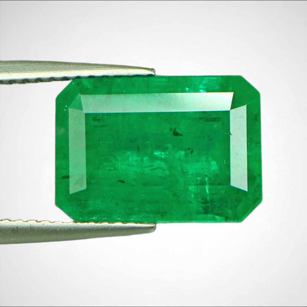 1 pcs 绿色 祖母绿 - 7.01 ct - 美国吉尔德宝石实验室 - *VIVID-ZAMBIA-KAFUBU* #4.3