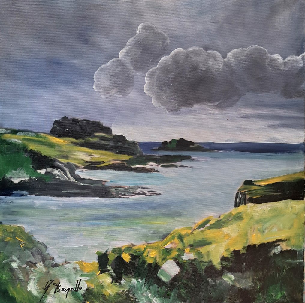 Giorgio Bergallo - BAIAGRIGIA #1.0