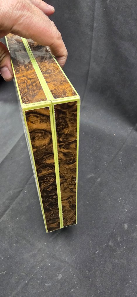 Brazil Beetles Dynastidae Collection (39x26 cm ) - Dioramă - 1990-2000 - America de Sud #1.0