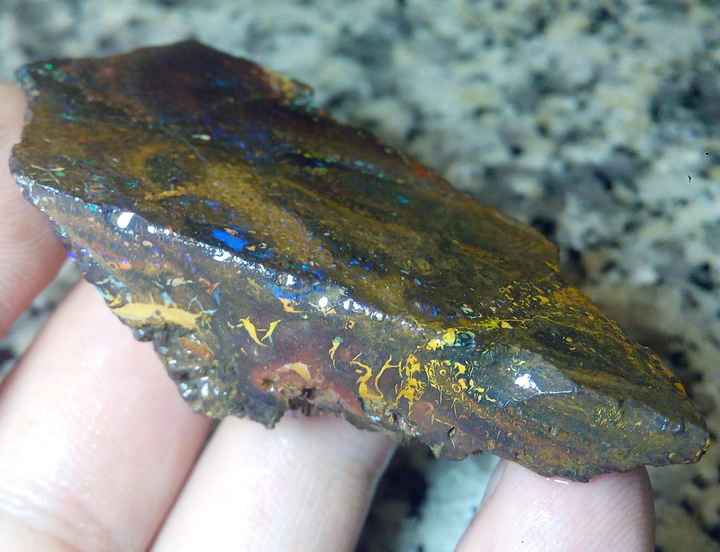 258,2 ct - Smuk stor australsk Boulder Opal. Rough - Multifarvet!- 51.64 g #4.3